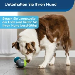 PetSafe Elektronisches Hundespielzeug Ricochet -Hund Miau Verkaufsgeschäft 5eadda9b8e1c472d17e8160a968897c5f1589a26 1418724 de DE f0080b3bce77c44349e2b70b9453ceaf44e2d3d6nqnVTG