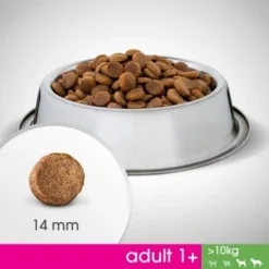 PERFECT FIT Adult 1+ Huhn M/L 6kg -Hund Miau Verkaufsgeschäft 60a46bf0c36b4d08300c5be02ab247fcab8c8c4b 1342010 de DE Foodshot 3