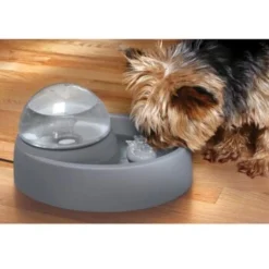 Numaxes Eyenimal Trinkbrunnen 1,5l -Hund Miau Verkaufsgeschäft 612512ae3e55fd25731acfc2a0abcdc5bfeba8fb b7754bc2b320ccef10b70045a810474d6996a8cb