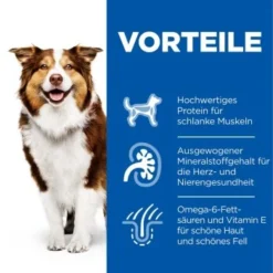 Hill's Science Plan Mature Adult 7+ Mit Huhn 12x370g -Hund Miau Verkaufsgeschäft 6983ef82552d45f79ac17b576c1c57e67a509885 52742051598 4