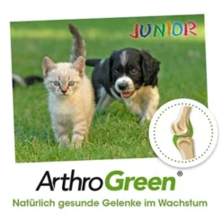 ArthroGreen Junior 25 G -Hund Miau Verkaufsgeschäft 6a60d69f3d1c00ba35978cfcbf4d867d243561bc 1674241 de DE bed99a5dadc632a71630f6b3e1df7dd049168828anHF6x