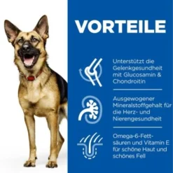 Hill's Canine Active Longevity Mature Adult 6+ Senior Large Breed 14 Kg -Hund Miau Verkaufsgeschäft 6aef2dc6c63c040d4fa47f8a4eb80d66def76689 52742025926 4