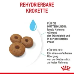 ROYAL CANIN MAXI Starter 15kg -Hund Miau Verkaufsgeschäft 6b3d4eca89fc38af516846f4b626b5bde7538980 1044296 de DE royalcaninwb4