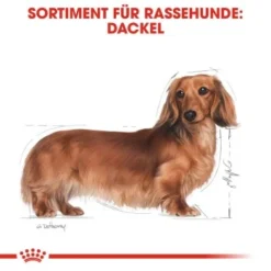 ROYAL CANIN Dachshund Adult 7,5 Kg 14 ROYAL CANIN Dachshund Adult 7,5 Kg -Hund Miau Verkaufsgeschäft 6bc39c31593f9bc89375c029cfa8d6914efbbdb7 9422ca18fd32d71dc307cc6117ea0029d9bf5647