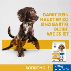 PERFECT FIT Sensitive Adult 6 Kg -Hund Miau Verkaufsgeschäft 6bd729623e7892aa1fa71ff8a86dd7e938665b70 1390283 de DE PerfectFit Sensitive SI6 F B2