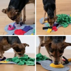 KaraLuna Schnüffelteppich Klein -Hund Miau Verkaufsgeschäft 6dcb56113705608d38dd4abf51cbbba2c3d7d784 1407493 de DE 76f1c502eb5452c4f7788c2072864381cedfe7ad2SceTe