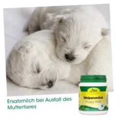 CdVet Welpenmilch 90g 90 G -Hund Miau Verkaufsgeschäft 7017fccee54353be63cacb84c05af61f49678bcb 1670855 de DE 0b8570de0ce69035954bc22cc725be63b0051ed3Q1FN5x