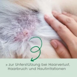 Fell & Haut Vital 150 G -Hund Miau Verkaufsgeschäft 756199d8c9bc1fc4fc6f9777425d928b34547bc6 1049905 de DE 6976be24cc530271e920aadc6d37e007742fe9acIGQoY8