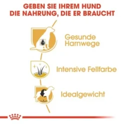 ROYAL CANIN Zwergschnauzer Adult 3kg -Hund Miau Verkaufsgeschäft 77e331cd9fcae9ed7be9f7a8c30418a1469100cb 1e18f973f74ec6522c9cbb67634ea47bb6587bea