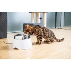 AniOne Edelstahl-Trinkbrunnen Trevi Ohne Ersatzfilter -Hund Miau Verkaufsgeschäft 7a066af048695bbfaeca0a855e5984fc3bf99d03 689fcf415d486ac05c07f2a4868b1d087d7a9ece