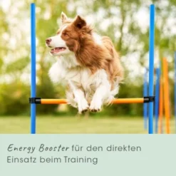 CdVet EnergyUp 450g -Hund Miau Verkaufsgeschäft 81112aeb6902553b69cb41cf11d7fe161984d344 1667440 de DE fc558df44802419b4545b3be6860d940a3342110fWQbUl