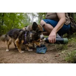 Ruffwear Great Basin™ Napf Schieferblau S -Hund Miau Verkaufsgeschäft 824b44ccf17c67c3dd43e5523941633c95efed85 1651551 de DE fad827ec7223895423979e3215d64ffaeae47c26HGRUuZ