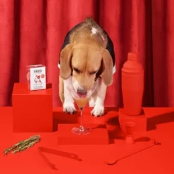 Fred & Felia FRED 10x200g Dog Drink "Wuffmopolian" 6 Fred & Felia FRED 10x200g Dog Drink "Wuffmopolian" -Hund Miau Verkaufsgeschäft 836bfb6dd73194a62db73e72df2a3ff6435c8521 1422080 de DE 8b70b618129e9c036f3d4ca21a7cc2907535bb5dk5tCe1