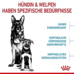 ROYAL CANIN MAXI Starter 15kg -Hund Miau Verkaufsgeschäft 84509061cc88bbba93af28332fe80ae82ca37ef9 1044296 de DE royalcaninwb2
