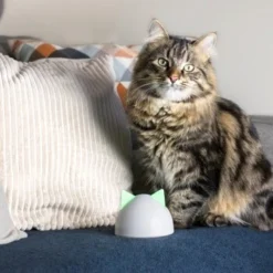 SureFlap Sure Petcare Hub -Hund Miau Verkaufsgeschäft 852b1bc3a8108075f76c20971c6ccd4d4ae1aeee 64f4b5749fc73b0bad1049a6b67d5e53fa50ba07