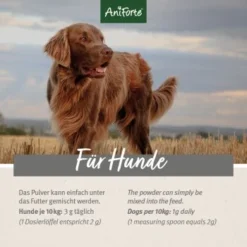 Aniforte 4in1 Complete Dog -Hund Miau Verkaufsgeschäft 863df9312c354770c420c56efc95e2ead39bb452 1332843 de DE b031ceb424c8a1b82398a216b110edd0f14ffb59lVmP30