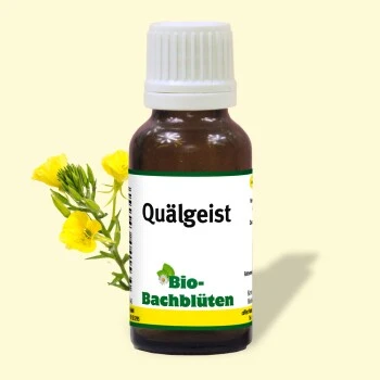 BioBachblüten Quälgeist 4 BioBachblüten Quälgeist – Bild 2