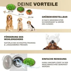 URBAN PAUL Schnüffelteppich - Grün -Hund Miau Verkaufsgeschäft 88b1e83589eb6f9b9d6ae1ee9e00f76cd280ec72 1477263 de DE c4a0dff3ce61eff6f47a9625e837cb3fb18e27168j8mOa