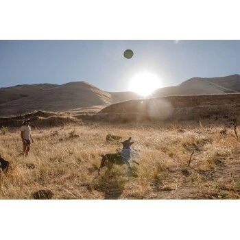 Ruffwear Hover Craft™ Spielzeug Orange 10 Ruffwear Hover Craft™ Spielzeug Orange – Bild 8