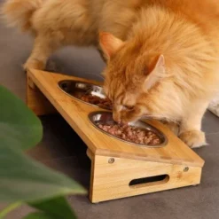 Lionto Futterstation Mit Bambusgestell 9 Lionto Futterstation Mit Bambusgestell -Hund Miau Verkaufsgeschäft 8c56991d507e18b3df4a2f4045dbd93cd3bd9353 1665980 de DE aa6482f6e46fc6375e62da8010ac0599c0ca4960aJFeP6