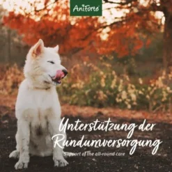 Aniforte 4in1 Complete Dog -Hund Miau Verkaufsgeschäft 8c5939e9a034077a3552f158dbe5f91fd29e1215 1332843 de DE aca85754970fb7b2c441c0d2dd5fcc395b1360c0UEca49