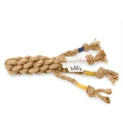 Hund Miau Verkaufsgeschäft -Hund Miau Verkaufsgeschäft 8c6f86889ea03031fc41073d0dc381e26a488fc6 1452907 de DE 218d201b3343b8c053e5f0b758649eae3ccf4067BSkFeb