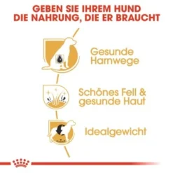 ROYAL CANIN Bichon Frisé Adult 1,5 Kg 11 ROYAL CANIN Bichon Frisé Adult 1,5 Kg -Hund Miau Verkaufsgeschäft 9360ef399dd7991f4138416a3168c1b58cc56899 7f2fbf0f9eb0dedb42b1d34e34eb41ac36d13a97