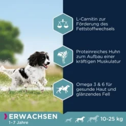 EUKANUBA Active Adult Medium Breed Mit Huhn 15 Kg -Hund Miau Verkaufsgeschäft 974a6b86f2565ad809ee31d93823535018b6d34e 8710255119786 2