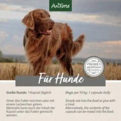 Aniforte Zecken Schild (35 Bis 50kg) Für Große Hunde 60 Kapseln -Hund Miau Verkaufsgeschäft 97cec187f568c6d54681cdd255c40c480b160e91 1444358 de DE ffd45c07e5d1db9ca6ca2f6cb8b8fd03b27d87f7vfb8Nc