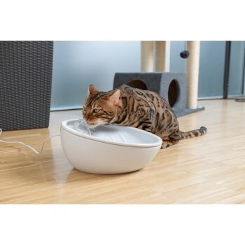 AniOne Keramik-Trinkbrunnen Waterfall Weiß Ohne Ersatzfilter 6 AniOne Keramik-Trinkbrunnen Waterfall Weiß Ohne Ersatzfilter – Bild 4