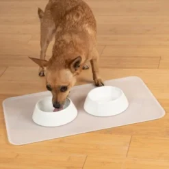 KaraLuna Basic Napfunterlage Transparent L -Hund Miau Verkaufsgeschäft 9ba40d7c74ee8125e59b22c7e83e8b1c6e9b7d62 1407477 de DE 14497c23a79b7136237df13f9c32b5ed84fd5ff0LsA92E