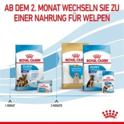 ROYAL CANIN MAXI Starter 15kg -Hund Miau Verkaufsgeschäft 9e0a9c40eb1f66857fbe20359fe8a5065e97d29a 1044296 de DE royalcaninwb5