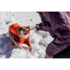 Ruffwear Huck-a-Cone™ Spielzeug Gelb -Hund Miau Verkaufsgeschäft a0dd5c638da881de5a5697cbc8bbbe8fe9dd3870 1639757 de DE 75d2e649cb4f8fd0c9d655a5ef56af870271c87e9TgWeg