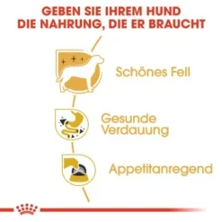 ROYAL CANIN Chihuahua Adult 12x85g -Hund Miau Verkaufsgeschäft a1212bd4c85597fb805a0f74a8bc83dd87efc699 1239183 de DE rc