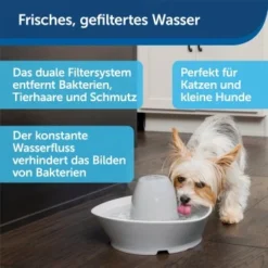 PetSafe Trinkbrunnen Streamside -Hund Miau Verkaufsgeschäft a4863bb01c9defc206f3abadb7407b11767619bd 1423698 de DE d7c376710365041814bb26a7ca9d55a6a9011fd8Nm0GoI