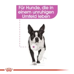ROYAL CANIN Relax Care 12x85g -Hund Miau Verkaufsgeschäft a8e16ebf9b383d62b8f98fd1629d4e4865619a6e 6b36971f11a71751b0758ac67032d8e771cf5219