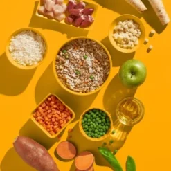 Fred & Felia FRED 10x390g JUNIOR Huhn Mit Reis -Hund Miau Verkaufsgeschäft aab9134917d3084d8373a0bd2d93ee07bed7ec97 1422068 de DE e6a828c782f8e596bfacddaff55a6cca79947cfbSCu2nP