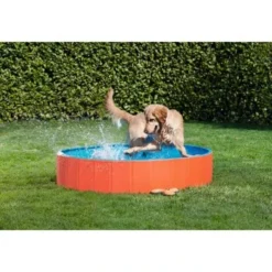 FIT+FUN Pool S -Hund Miau Verkaufsgeschäft b1cb34c1bb87f494acad835c3466dcf4312a1144 49528db90b739bc978efe51f63d1f6253667db9a
