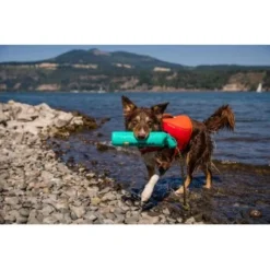 Ruffwear Lunker™ Spielzeug Blau/ Türkis -Hund Miau Verkaufsgeschäft b1ff74faaf51c648517e284bc677372b2de917b1 1364294 de DE 872baa13c3c684e3cd884d6a02e37e7e22ad686cLNC7EY