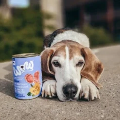 WOW Adult 6x400g Lamm Mit Kürbis -Hund Miau Verkaufsgeschäft b49ac3b05758a84cf77f1af302022b4a9ea1a7a6 1294819 1