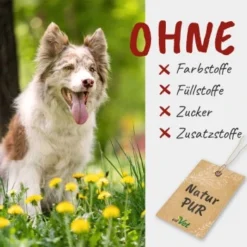 Fit-BARF SafeComplete 350 G -Hund Miau Verkaufsgeschäft be0ce2b3bcfd30913c83a3557404dac6fca3c4ef 1667841 de DE af2be1d633c7cbccc19095e6bd698be3bdf7fa81XPLZ9j