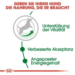 ROYAL CANIN Mini Adult 8+ 8 Kg 11 ROYAL CANIN Mini Adult 8+ 8 Kg -Hund Miau Verkaufsgeschäft c353b0de3f48a724e716c1c76485d0baab2f2c1c b5e80ca1f67a73b432838d9b8dc4feac61bcbeef