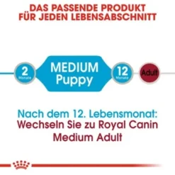 ROYAL CANIN Medium Puppy 10x140g -Hund Miau Verkaufsgeschäft c8d28fbfd8ee359f1e42b5b0e6e69d605cdd8dfb fe32fce0cf464bdc4708a7c2ab326cc4e2528e65