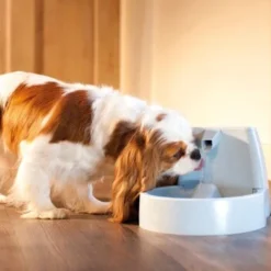 PetSafe Drinkwell Trinkbrunnen Original, 1,5 Liter -Hund Miau Verkaufsgeschäft cb67b5accb6fdd9ec3530e007fd4ef1689efc995 0a695b0c941d72c4fef9fa23bc6300c73cab799d