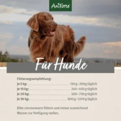 Aniforte Special Mix 2,4 Kg -Hund Miau Verkaufsgeschäft d067e51d019f833d60f69955d48e8136d69af8d5 1422198 de DE ecf8c646fa9f7a73ce2de360e52f7434941d6424rLOIlc