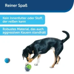 PetSafe Elektronisches Hundespielzeug Ricochet -Hund Miau Verkaufsgeschäft d4449f153a2c132dbacdcffdb9e5bd1534d39124 1418724 de DE f83cfc689e8023f0b85b6eeadf79a2629df4d4f153I9wY