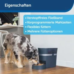 PetSafe Futterautomat Smart Feed -Hund Miau Verkaufsgeschäft d75d18a8d69305d41cdc15b6cd1407ea0bf1197e 1418722 de DE b6612f513df2cce528e0e17914e20260d63a2356T5GctK
