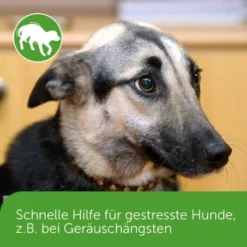 ADAPTIL Chew 30 Stück Anti Stress Snack -Hund Miau Verkaufsgeschäft dd1f44620defd2e7a86c6271361fb23975f08b2f 1374744 3