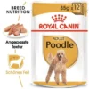 ROYAL CANIN Poodle Adult In Soße 12x85g -Hund Miau Verkaufsgeschäft dd3d2a3937fcef6523897d2f0829a822b2d67a08 5b515c9119f1a1d4a4b01e183f307ad7d5b90feb