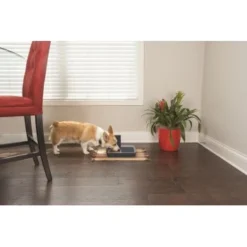 PetSafe Digitaler Futterautomat Für 2 Mahlzeiten -Hund Miau Verkaufsgeschäft dd3fb1748ad72abb1dbd97f6f077b00bb4d76d05 1291255 de DE cf72a75b3fd4f7fd8b7e51ea368585b22239110fFJga5O